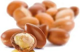 Argan Oil