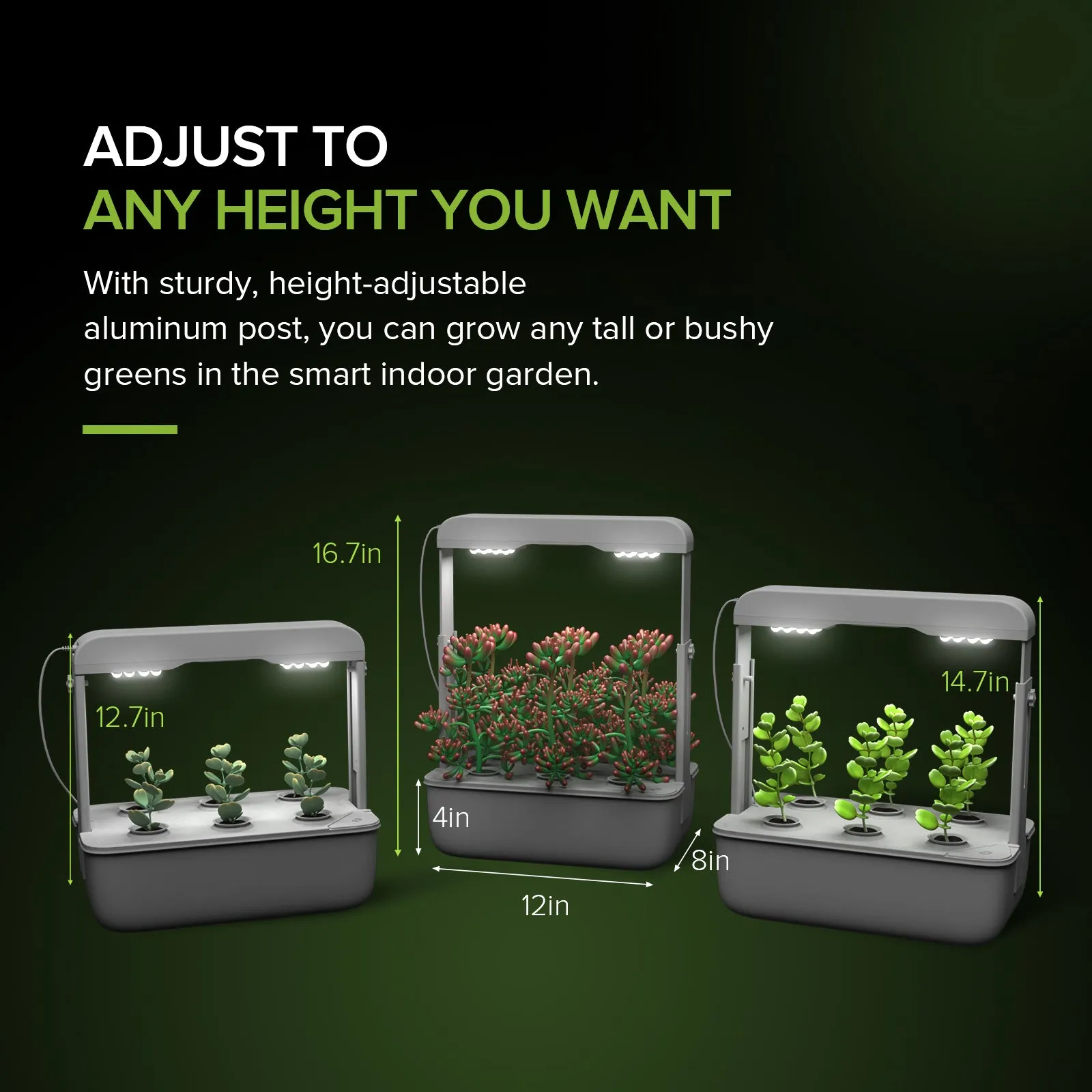 Hydroponics Growing System(US ONLY)