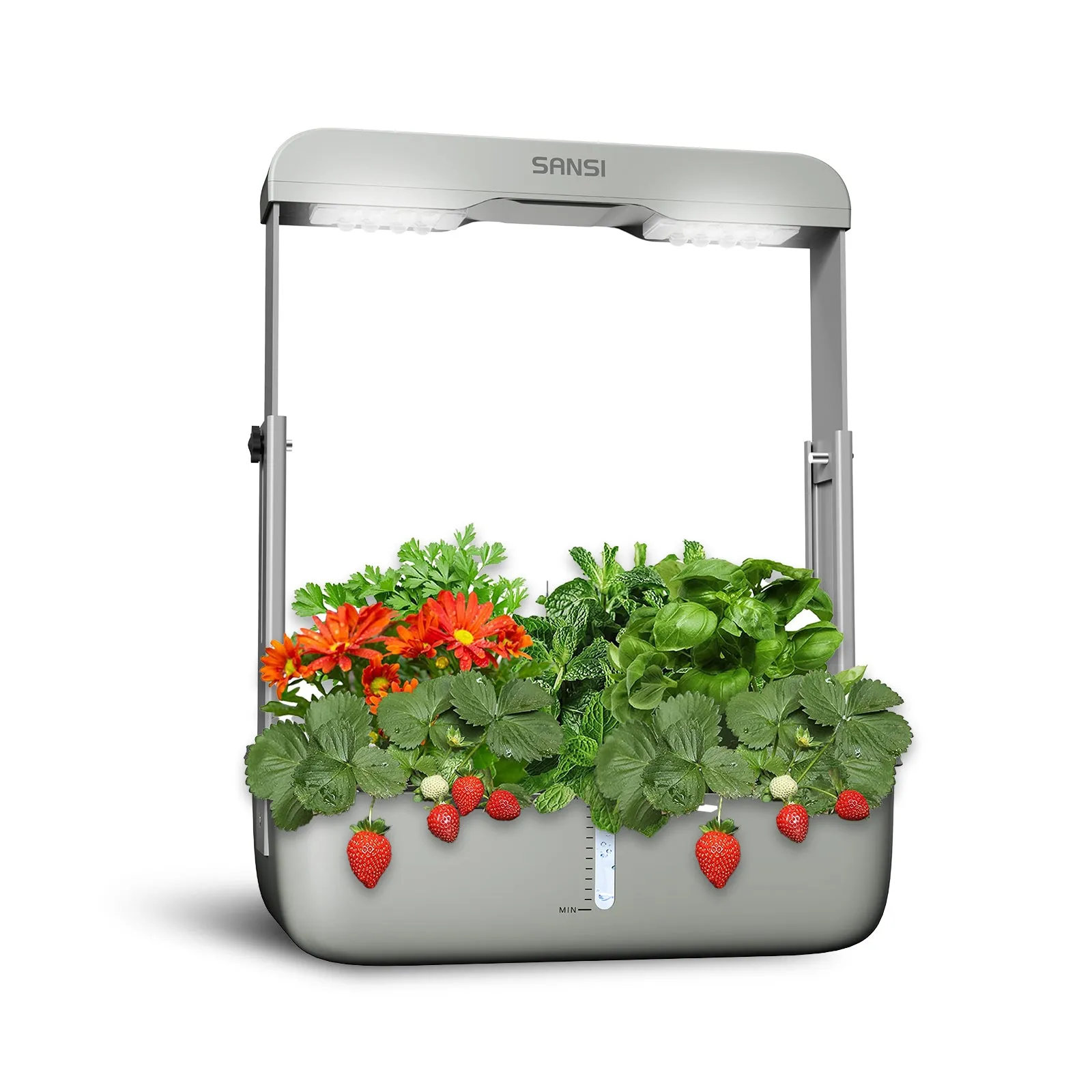 Hydroponics Growing System(US ONLY)